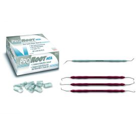 Kit Proroot MTA - полный комплект для исправления дефектов корневых каналов A04060000020