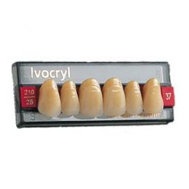 Фронтальные зубы Ivocryl цвет A3, верх, форма 33, 6шт   