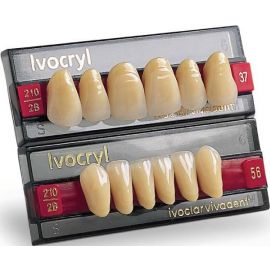 Фронтальные зубы Ivocryl цвет A3, форма 54, низ, 6шт  