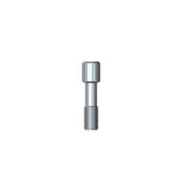 S1aa-2.1 (Grey), винт клинический, для постоянной фиксации абатмента платформы 2.1, SGS