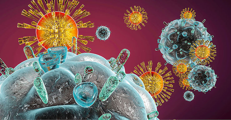 Защитный механизм: Экспресс-тесты на гепатит С и ВИЧ
